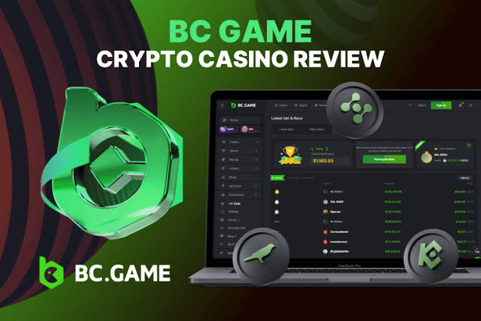 Understanding the BC.Game Indonesia Login Process A Step-by-Step Guide